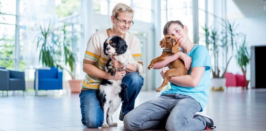 Therapeutin und ein junger Patient spiele mit zwei Therapiehunden