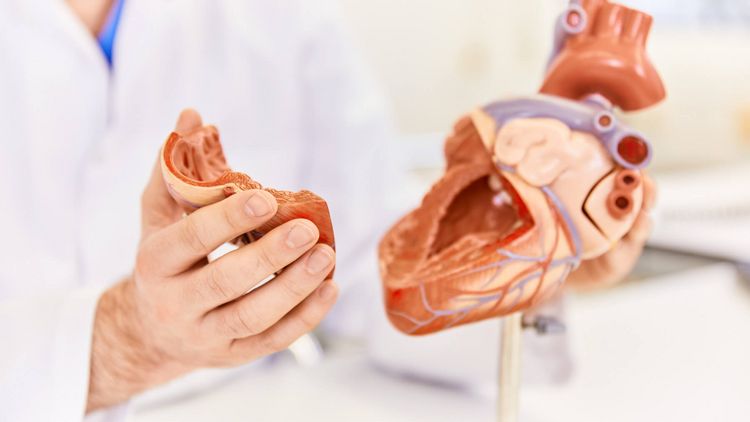 Schutz vor Herzstillstand